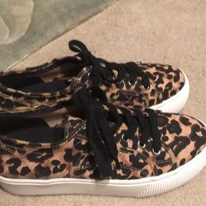 NWOT Steve Madden leopard platform, lace up